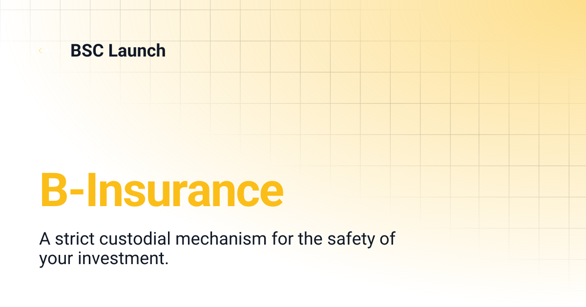 B-Insurance | BSC Launch